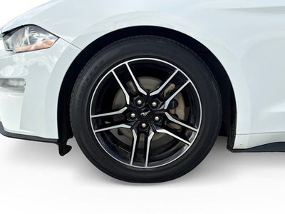 2023 Ford Mustang EcoBoost